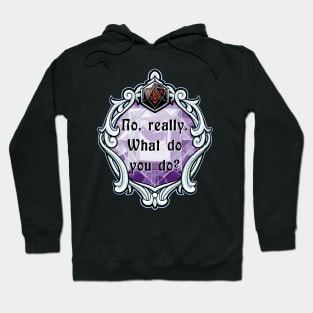 Amulet No, Really. What Do You Do? Hoodie